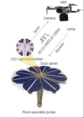 植物健康手环问世，科学家发明'太阳花'设备开启精准农业新篇章